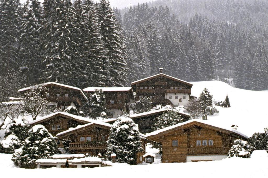 Ferienhaeuser Reither Almen Reith im Alpbachtal Ruang foto