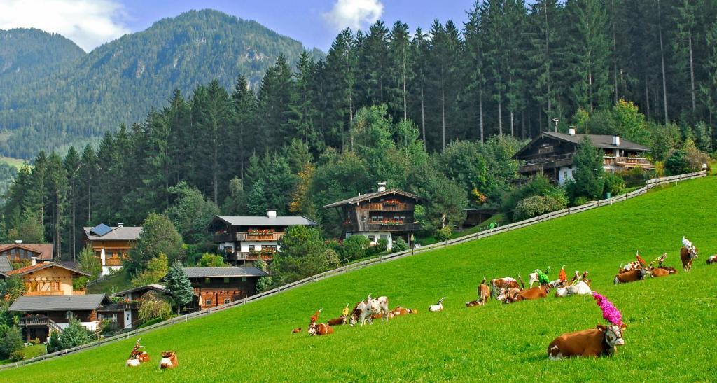 Ferienhaeuser Reither Almen Reith im Alpbachtal Ruang foto
